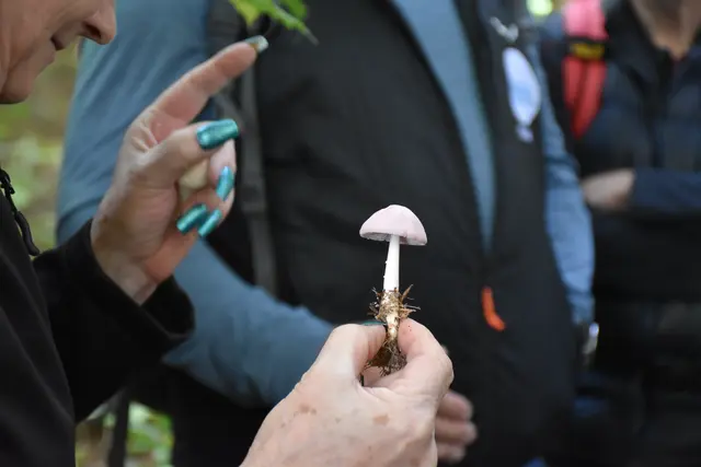 Foto: MeinBezirk/Carmen Rienzner