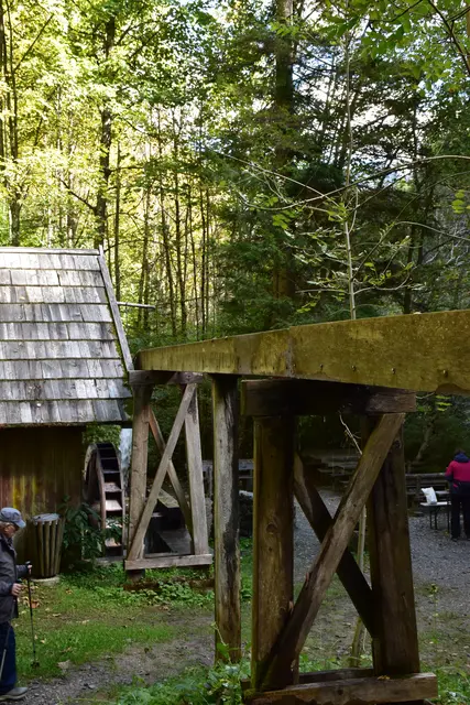 Foto: MeinBezirk/Carmen Rienzner