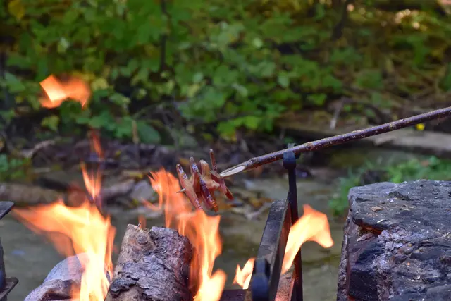 Foto: MeinBezirk/Carmen Rienzner