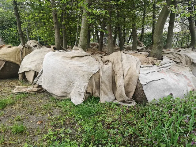 Foto: Universität für angewandte Kunst Wien, Foto: Thomas Roth