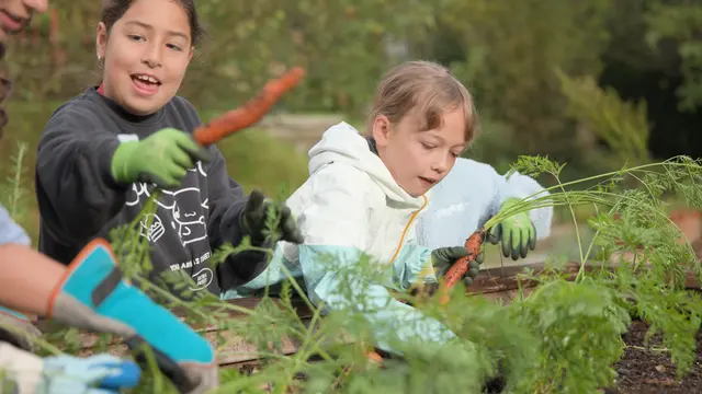 Mit „Die flotte Karotte“ zeigt ORF-Salzburg, wie spielerisch Wissen über Natur, gesunde Ernährung und regionale Landwirtschaft vermittelt werden können. | Foto: ORF Salzburg
