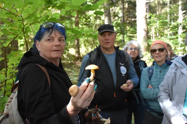 Foto: MeinBezirk/Carmen Rienzner