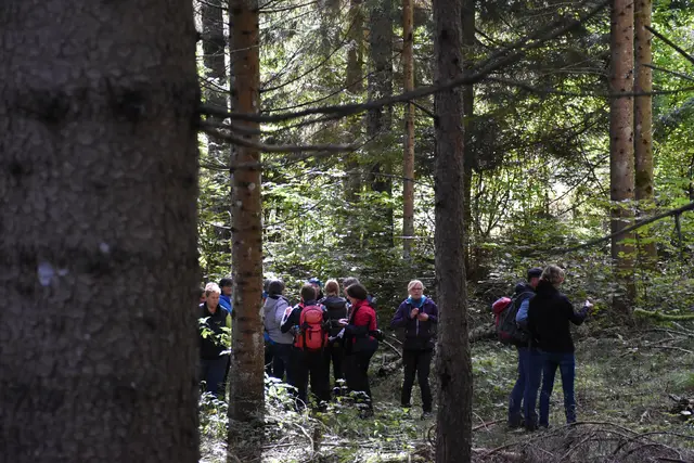 Foto: MeinBezirk/Carmen Rienzner