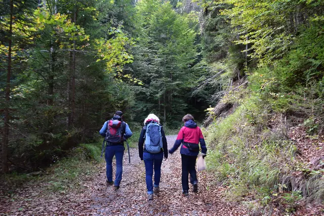 Foto: MeinBezirk/Carmen Rienzner