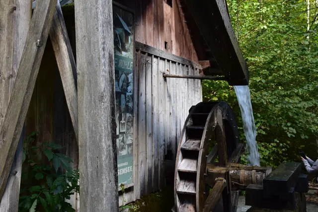 Foto: MeinBezirk/Carmen Rienzner