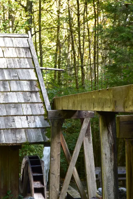 Foto: MeinBezirk/Carmen Rienzner