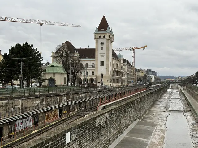 Infrastruktur, Grünflächen und Seniorenparlament: Das will die Bezirksvertretung in Hietzing verändern. | Foto: Lisa Kammann/MeinBezirk