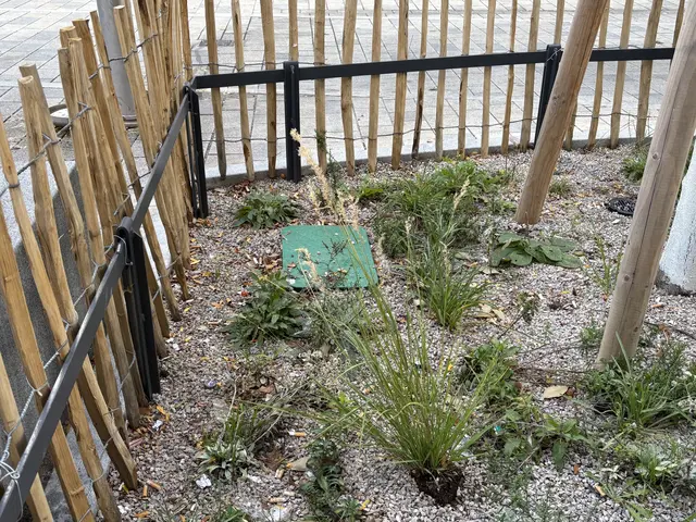 Foto: Matthias Pandrea / Mein Bezirk