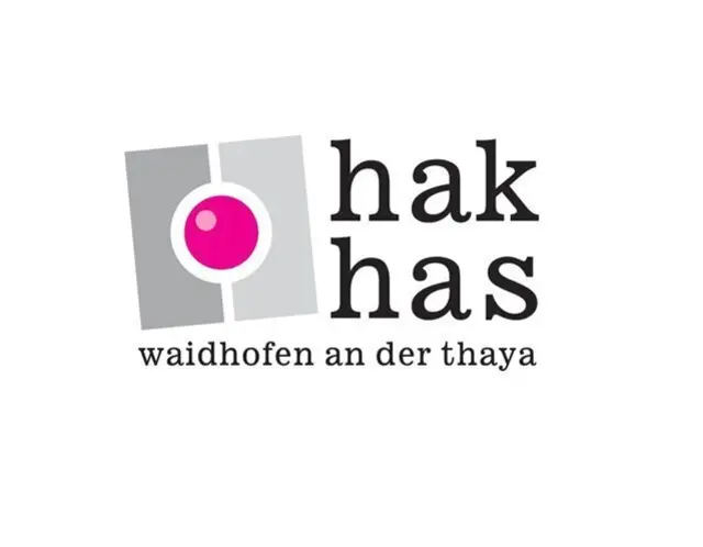 Handelsakademie und Handelsschule Waidhofen/Thaya | Foto: HAK Waidhofen/Thaya