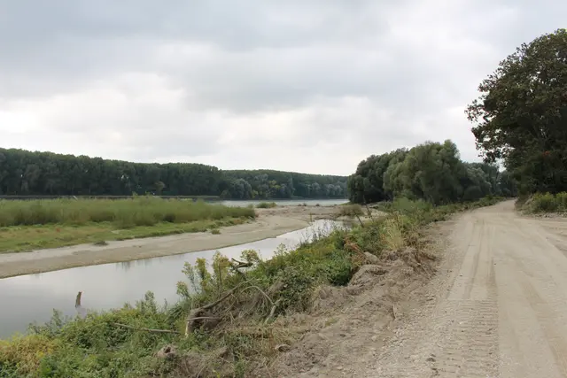 Neben dem Schutz seltener Arten trägt das Vorhaben auch zur Grundwasseranreicherung, zum natürlichen Hochwasserschutz und zur Erholung bei. | Foto: Sadiki-Peckary