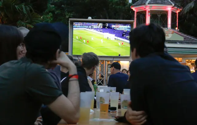 Österreich kann sich auf eine Teilnahme bei der WM 2026 freuen. | Foto: Franziska Marhold