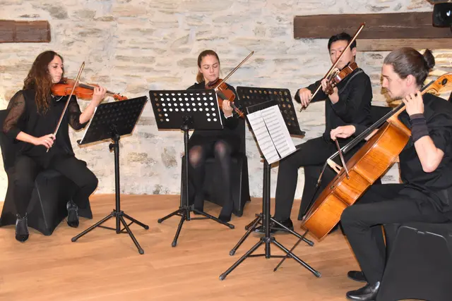 Das Streichquartett "Gemischter Satz" begleitete das Symposium musikalisch. | Foto: Michael Strini