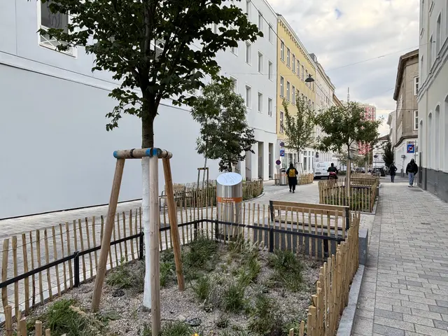 Foto: Matthias Pandrea / Mein Bezirk