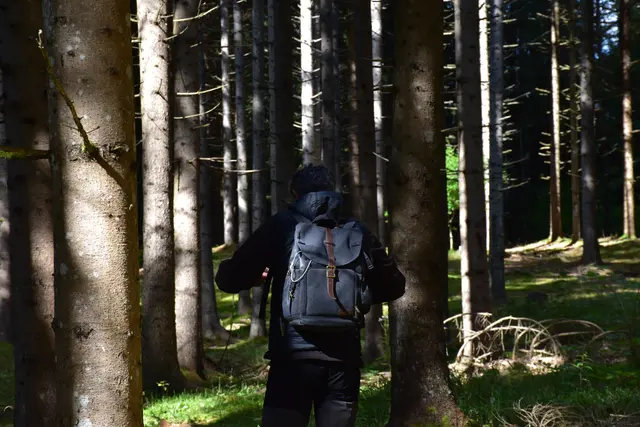 Foto: MeinBezirk/Carmen Rienzner