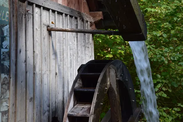 Foto: MeinBezirk/Carmen Rienzner