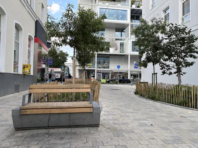 Die konsumfreien Sitzgelegenheiten in der Palmgasse sollen eigentlich ein Ort der Begegnung sein. Seit der Eröffnung im Juli häufen sich die Beschwerden seitens der Anrainer. | Foto: Matthias Pandrea / Mein Bezirk