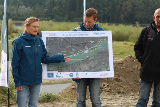 Bei Stopfenreuth haben viadonau und der Nationalpark Donau-Auen den Baustart für ein großangelegtes Renaturierungsprojekt gesetzt. | Foto: Sadiki-Peckary