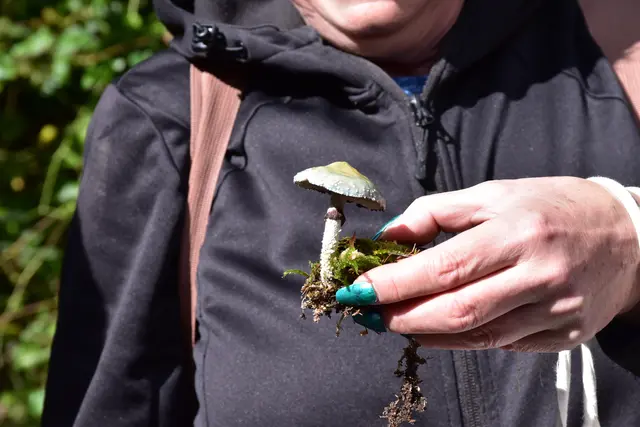 Foto: MeinBezirk/Carmen Rienzner