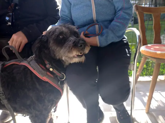 Foto: Jana Charousek