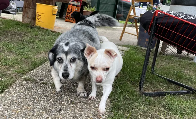 Gemeinsam ist alles leichter