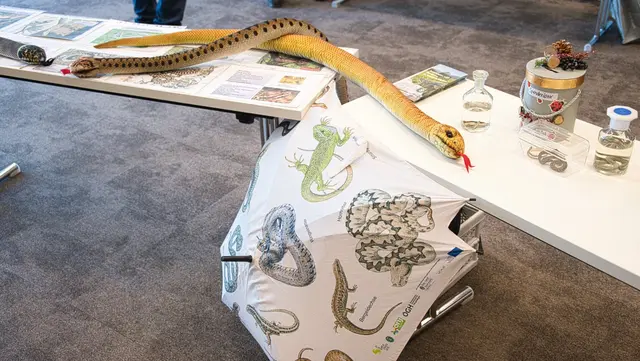 Kinder und Familien nahmen an spannenden Mitmachaktionen teil und lernten spielerisch über Tiere, Pflanzen und Umweltschutz. | Foto: Norbert Ortner