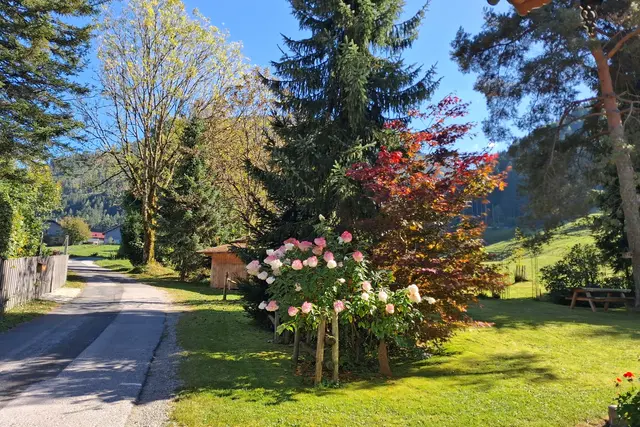 ....vorbei an der Schafbachstraße/ Faistenau