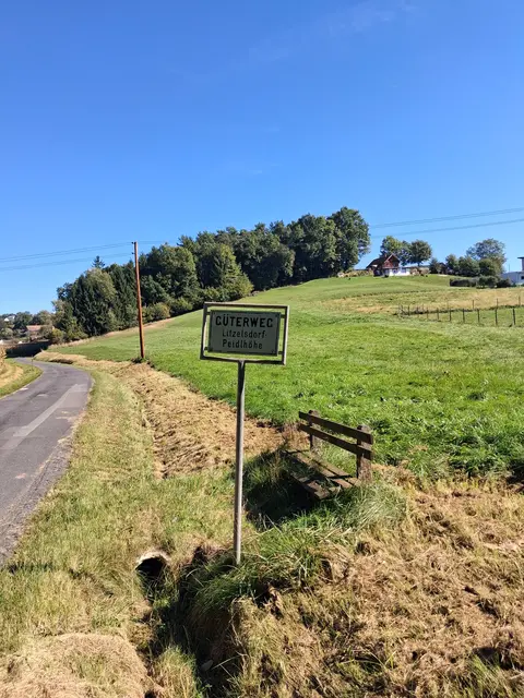 Ein etwas verwachsenes Bankerl. Wann da wohl das letzte mal wer saß? | Foto: Gold Michaela