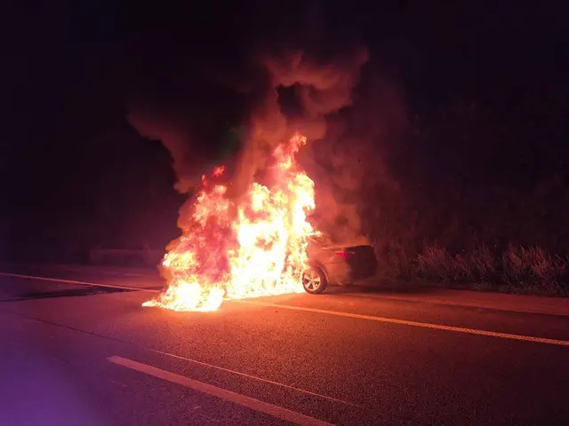 Foto: www.einsatzdoku.at