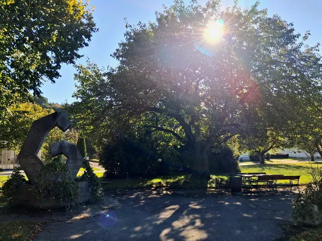 Ein Blick in den kleinen Park - wie schön die Sonne scheint | Foto: Gold Michaela