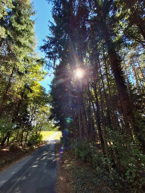 Immer wenn du glaubst es geht nicht mehr, kommt von irgendwo ein Lichtlein her.  | Foto: Gold Michaela