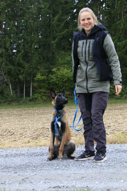 Junger Schüler zum Rettungshund
