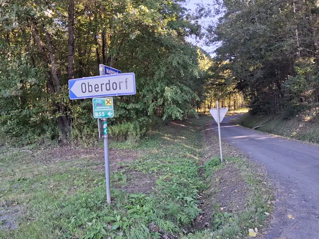 Hmmm, wieder weiß ich nicht wohin?🧐 | Foto: Gold Michaela