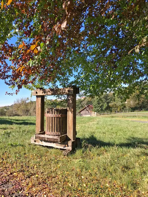 Immerwieder entdecke ich Schönes am Wegrand | Foto: Gold Michaela