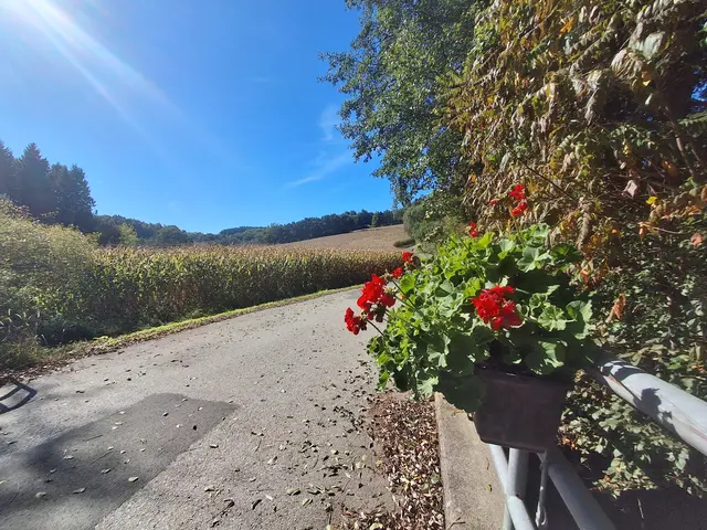 Brücke schön geschmückt und gleich dahinter liegt der .... | Foto: Gold Michaela