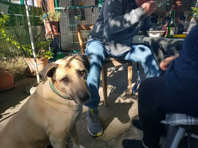 Foto: Jana Charousek