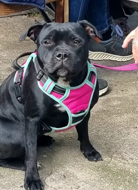 Foto: Jana Charousek