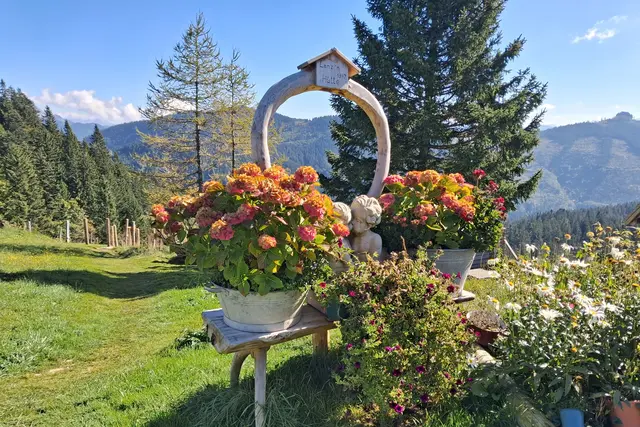 ...es darf bei der Lanzenhütte "GEBUSSELT" werden.🥰