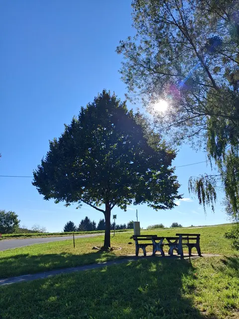 Zum Rasten ist es noch zu früh, obwohl es sehr einladend ist | Foto: Gold Michaela