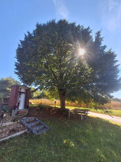 Am Mitterberg ein schönes Rastplatzerl und wieder strahlt die Sonne  | Foto: Gold Michaela