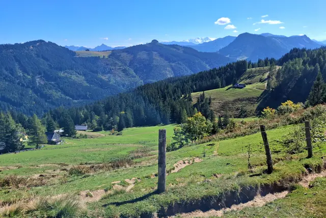 Mittereggalm
 mit Blick zum schneebedeckten Dachstein.