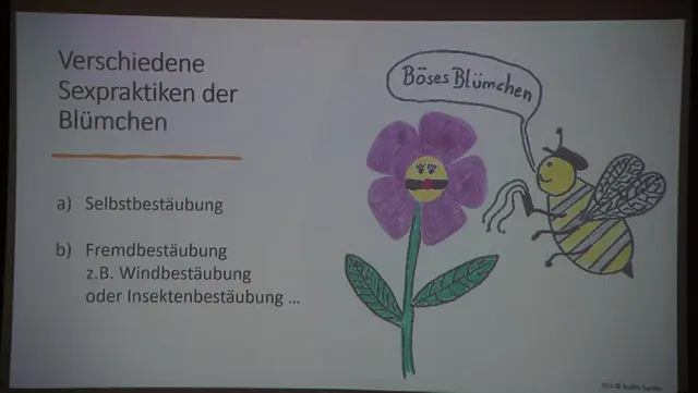 Foto: Norbert Ortner
