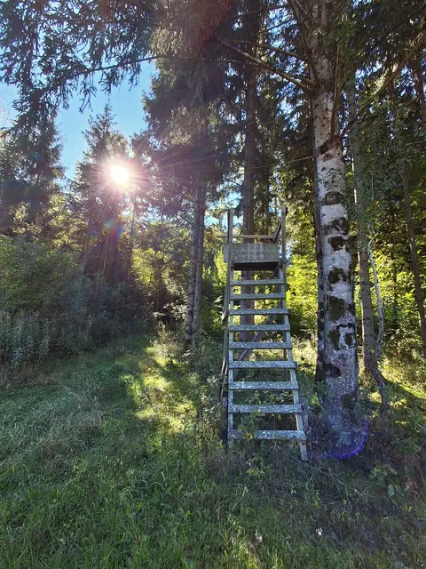 Und immer wieder die Sonne, als ob sie mir sagen möchte: Ich bin da, ich scheine und ich strahle, für dich und dich und dich. Mach es wie die Sonne und teile dein Licht. | Foto: Gold Michaela
