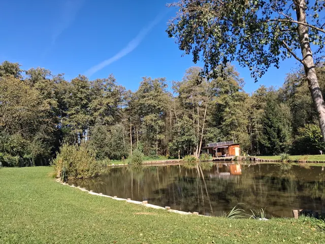 Fischteich. Gut abgesichert mit elektrischem Zaun | Foto: Gold Michaela