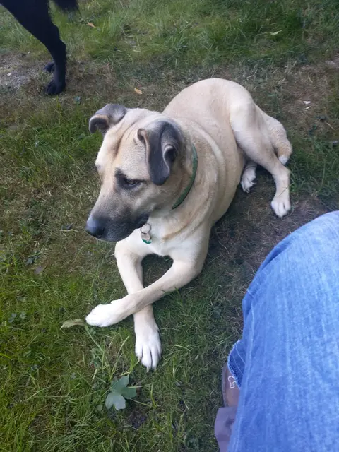 Foto: Jana Charousek