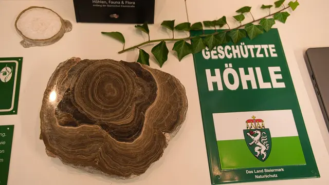 Foto: Norbert Ortner