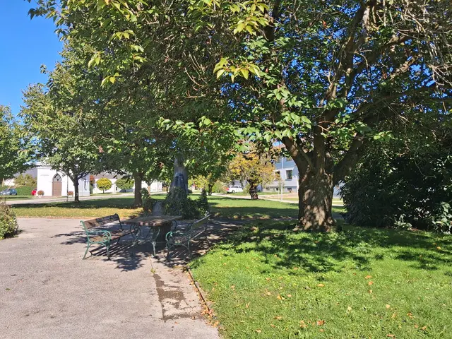 Rastplatz im Park und schon bin ich wieder beim Auto | Foto: Gold Michaela
