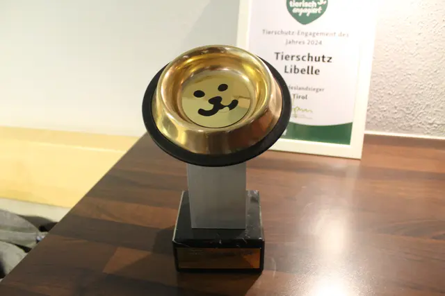 Der Tierschutzverein hat letztes Jahr den Goldenen Fressnapf für Tierisches Engagement gewonnen. 