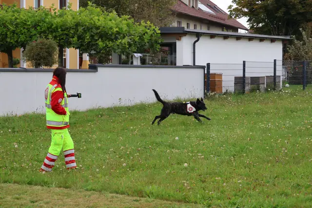 Foto: MeinBezirk/Constance Haslberger