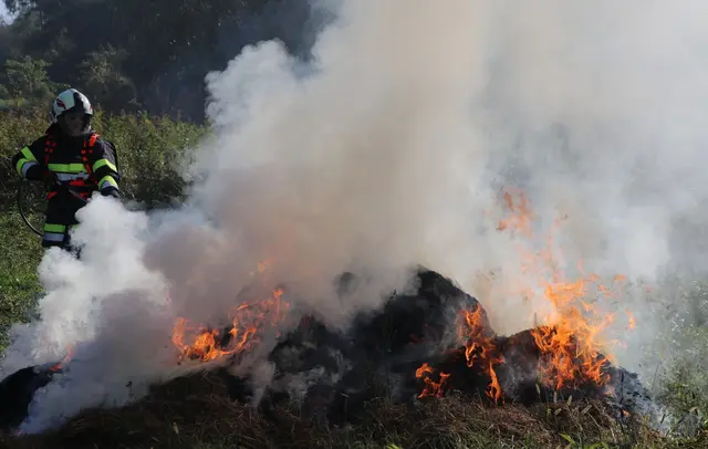 Übungsannahme war der Ausbruch eines Flur- und Waldbrandes aufgrund anhaltender Trockenheit an einem Altarm der Raab. | Foto: Ingrid Englisch