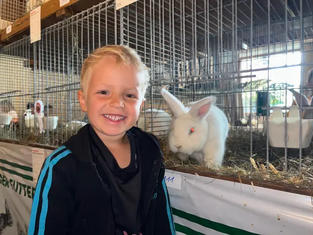Felix Stern hätte das ein oder andere Kaninchen am liebsten gleich mitgenommen. | Foto: Kainz